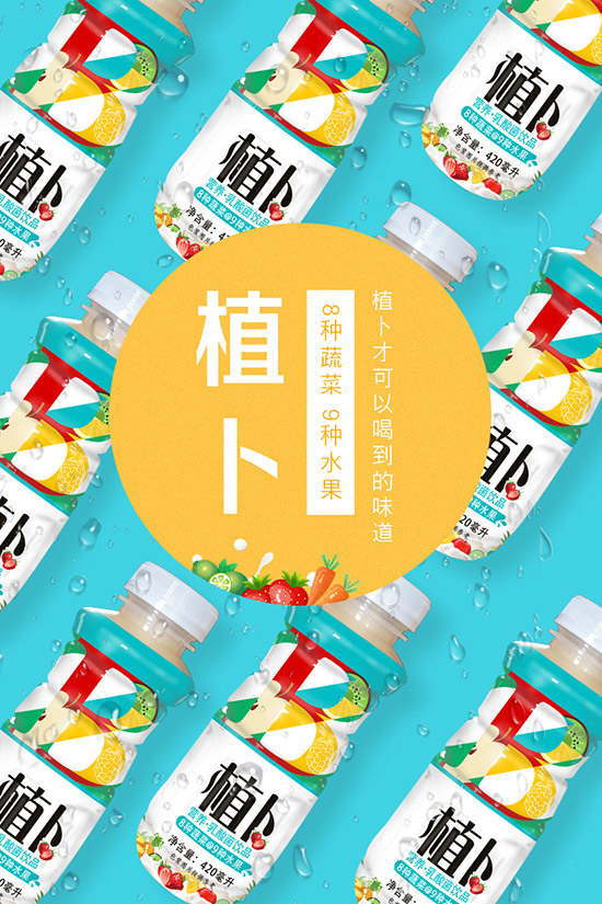 乳酸菌